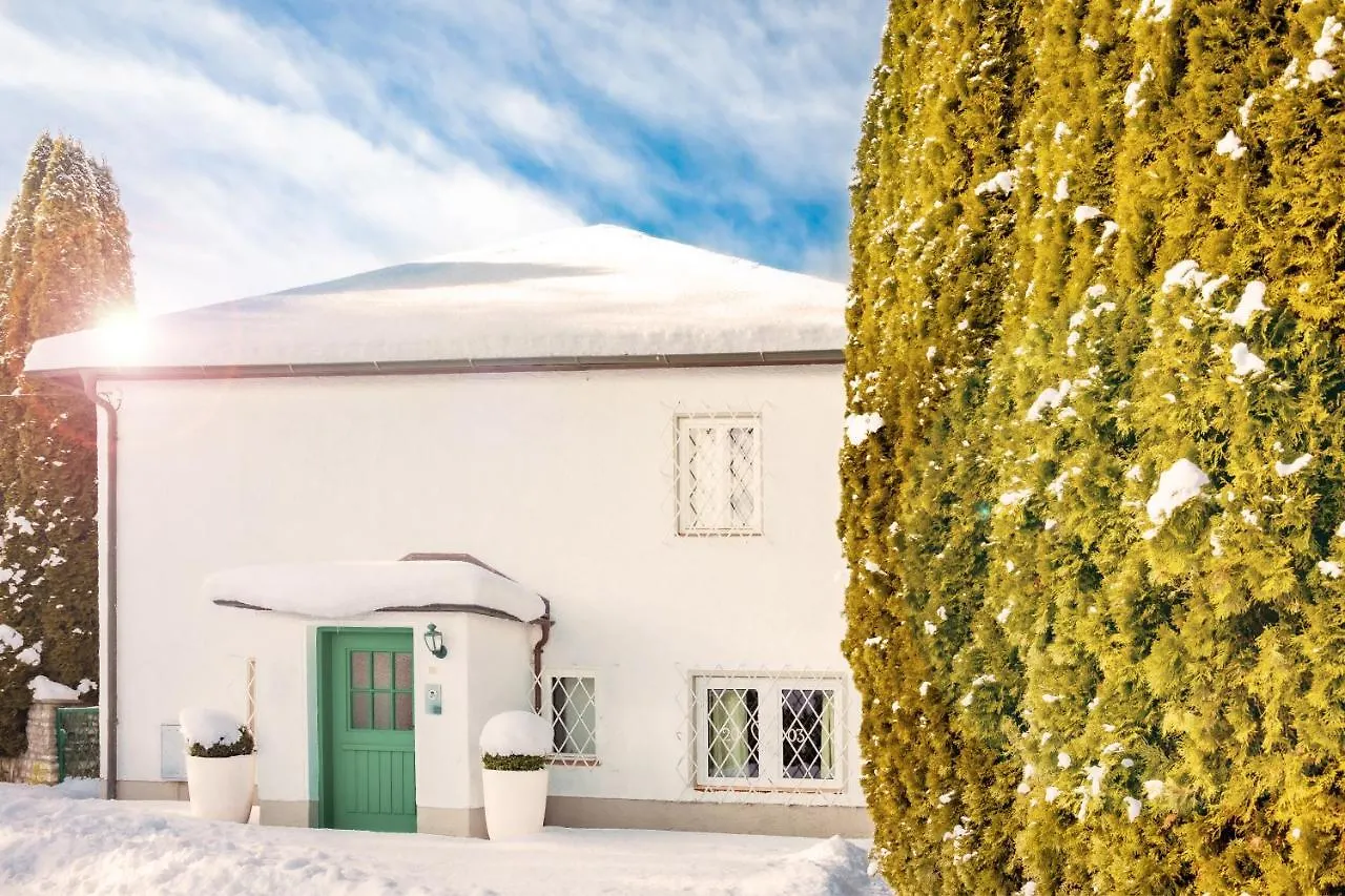 Townhouse Riva, Prime Location In The City Of Salzburg, 1000M2 Backyard Villa