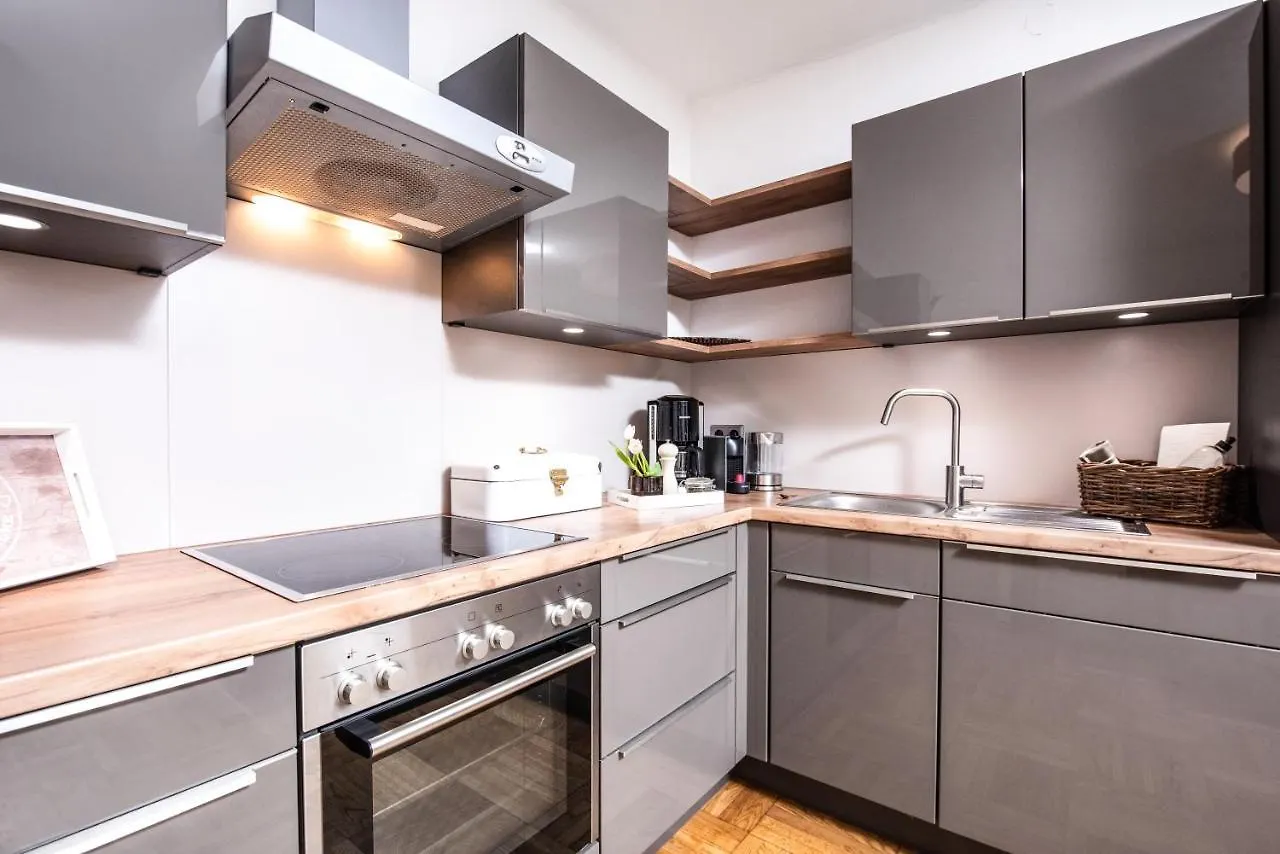 Townhouse Riva, Prime Location In The City Of Salzburg, 1000M2 Backyard Villa Austria
